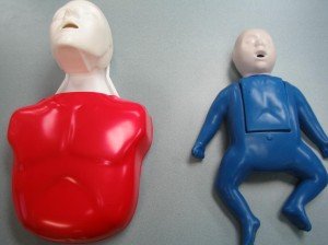 Learning Adult and Infant Manikin with First Aid Training Nanaimo