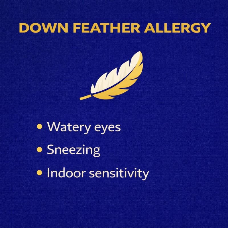 Down feather allergy symptoms explained